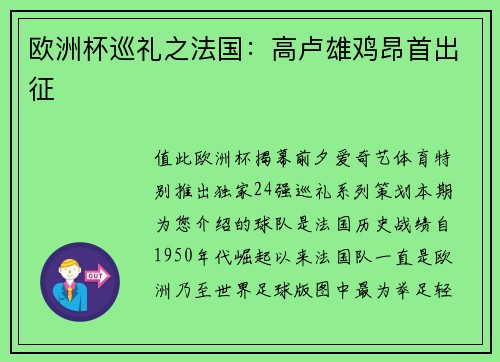 欧洲杯巡礼之法国：高卢雄鸡昂首出征