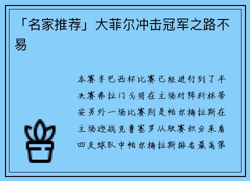 「名家推荐」大菲尔冲击冠军之路不易